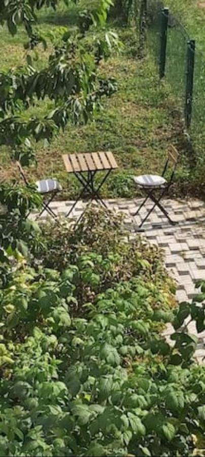 Lovely Appartment With Private Patio And Private Entrance In Luxembourg 60M2 Saeul Luaran gambar